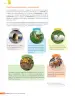 Miniatura página 207 de Libro de Ciencias Naturales – Quinto Básico | Texto del Estudiante MINEDUC – Descargar PDF · 2024