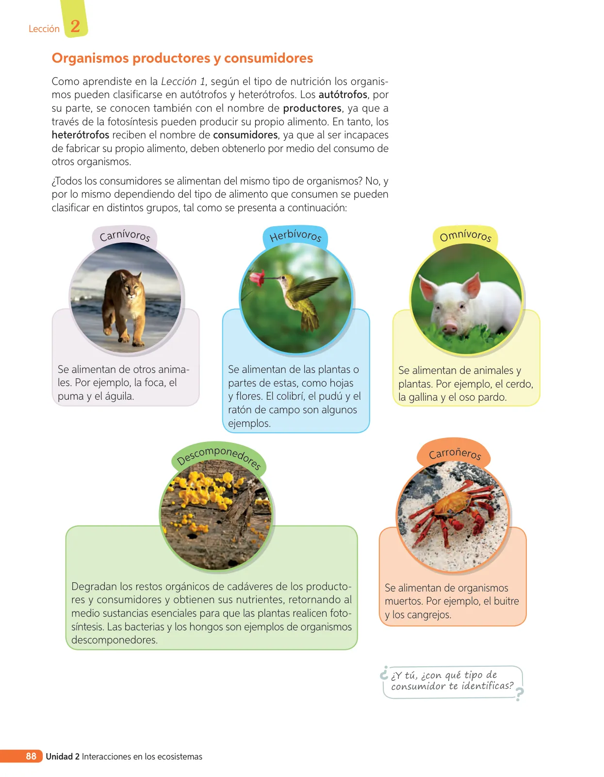 Miniatura página 207 de Libro de Ciencias Naturales – Quinto Básico | Texto del Estudiante MINEDUC – Descargar PDF · 2024