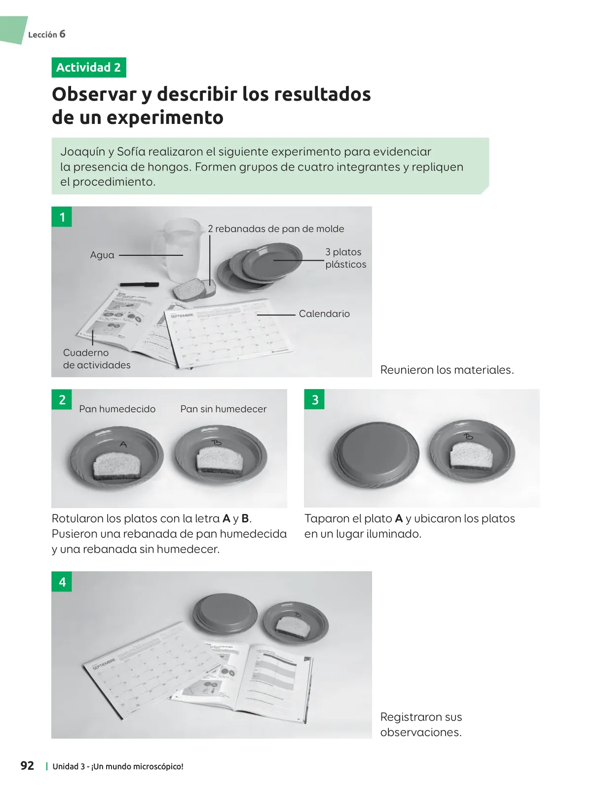 Miniatura página 93 de Ciencias Naturales – Séptimo Básico | Texto del Estudiante MINEDUC – Descargar PDF · 2024
