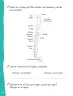 Miniatura página 97 de Lenguaje y Comunicación – Primero Básico | Texto del Estudiante MINEDUC – Descargar PDF · 2024