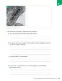 Miniatura página 92 de Ciencias Naturales – Séptimo Básico | Texto del Estudiante MINEDUC – Descargar PDF · 2024