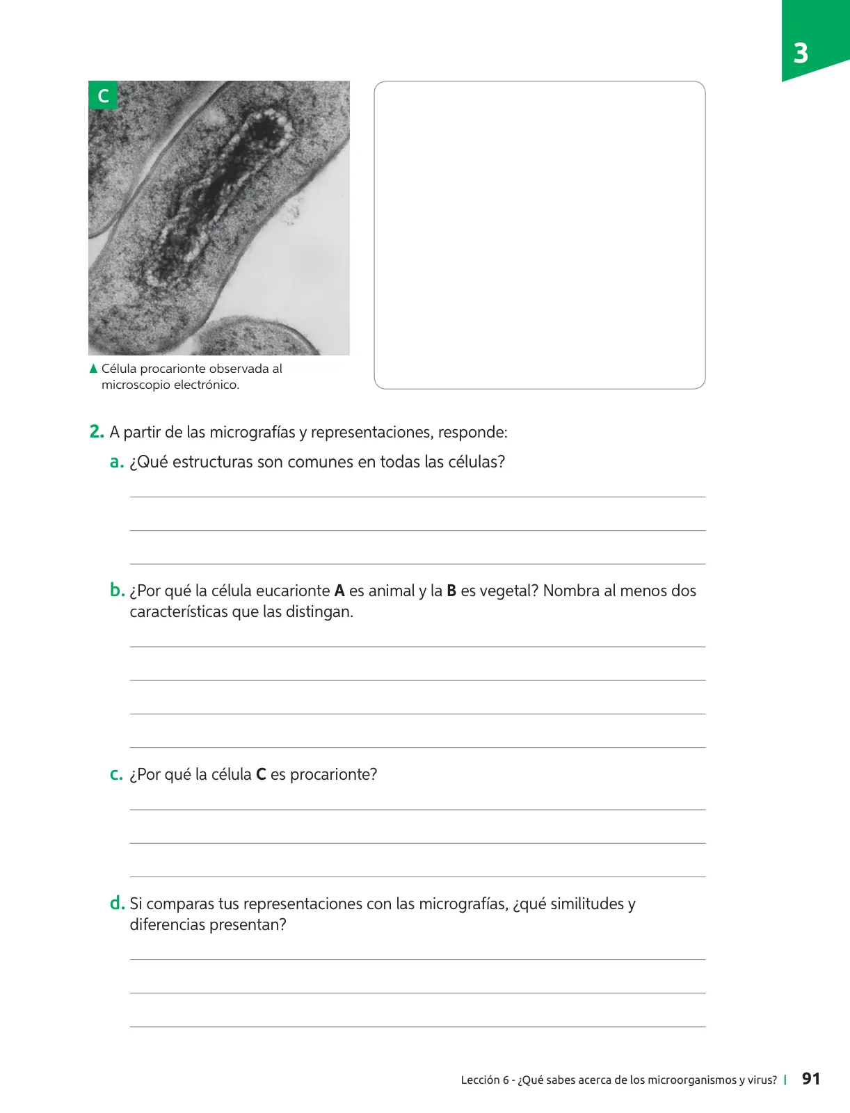 Miniatura página 92 de Ciencias Naturales – Séptimo Básico | Texto del Estudiante MINEDUC – Descargar PDF · 2024