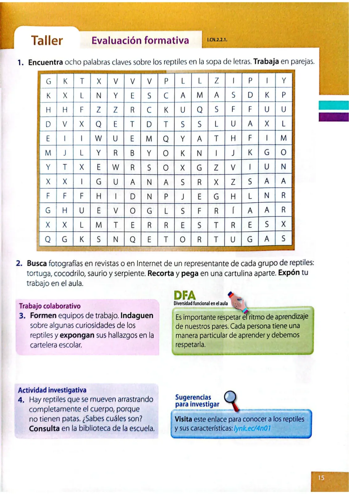 Pág 12