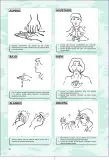 Miniatura página 182 de Lengua de señas peruana : guía para el aprendizaje de la lengua de señas peruana, vocabulario básico · 2015