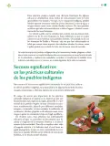 Miniatura página 184 de Colección Sk´asolil. Lenguajes.   Libro de Educación Telesecundaria Grado 2°  Ciclo Escolar 2025 - 2026