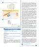 Miniatura página 83 de Libro de Sumo Primero – Sexto Básico | Texto del Estudiante MINEDUC – Descargar PDF · 2024