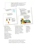 Miniatura página 7 de Proyectos de Aula.   Libro de Educación Primaria Grado 1°  Ciclo Escolar 2025 - 2026