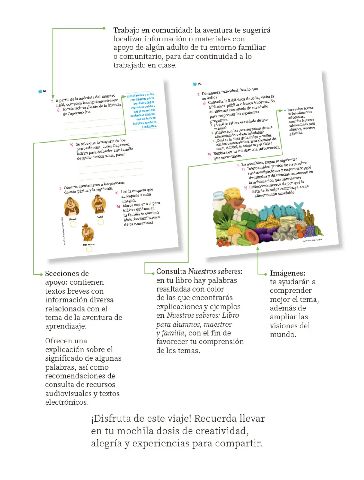 Miniatura página 7 de Proyectos de Aula.   Libro de Educación Primaria Grado 1°  Ciclo Escolar 2025 - 2026