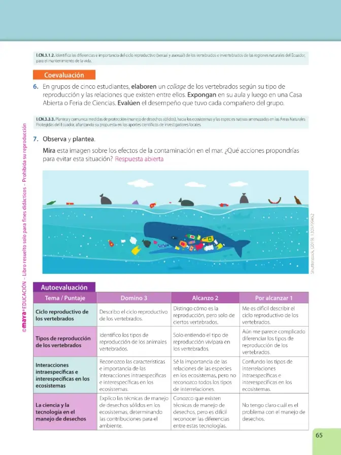 Página 67 de Ciencias Naturales 6° · Egb 6 Ciencias Naturales 2025 · 2025