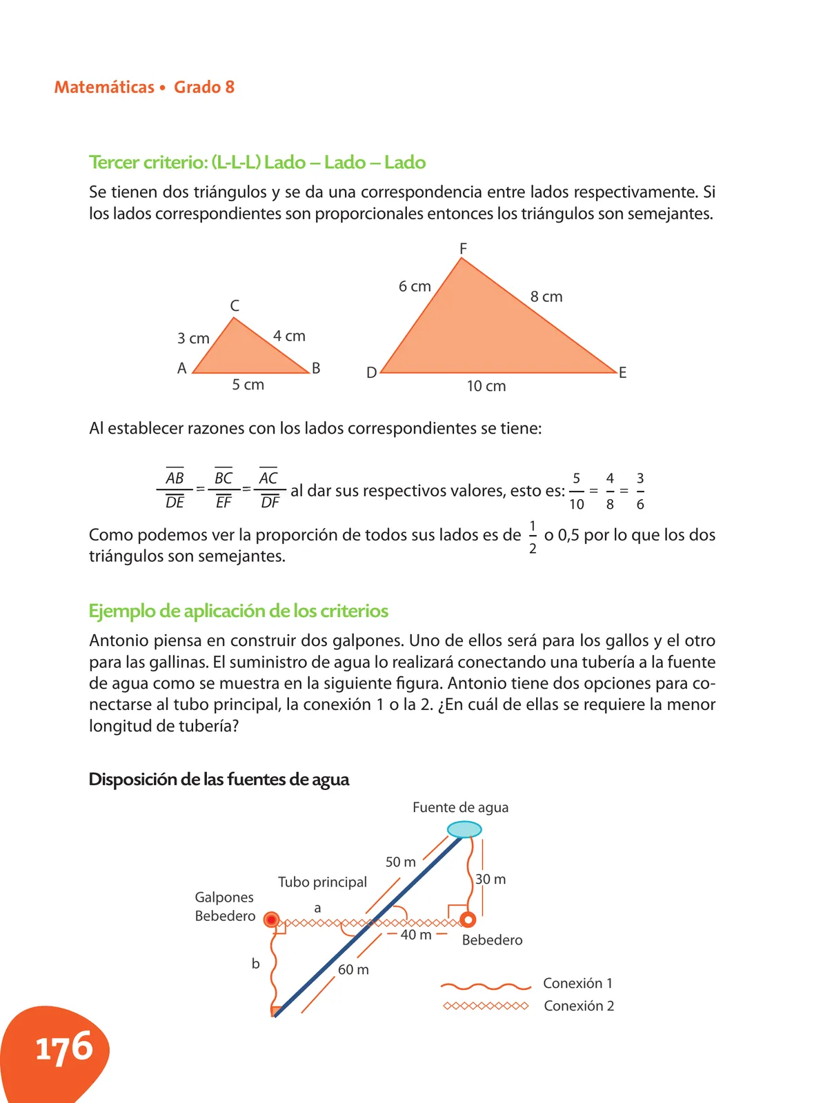 Miniatura página 177 de Matematica 8° · Postprimaria