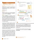 Miniatura página 92 de Libro de Sumo Primero – Sexto Básico | Texto del Estudiante MINEDUC – Descargar PDF · 2024