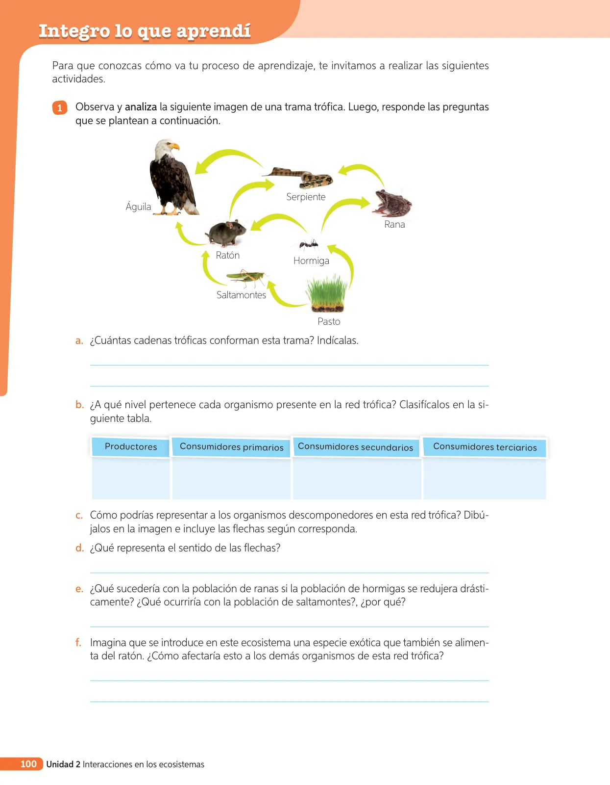 Miniatura página 219 de Libro de Ciencias Naturales – Quinto Básico | Texto del Estudiante MINEDUC – Descargar PDF · 2024