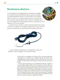 Miniatura página 306 de Colección Sk´asolil. Saberes y pensamiento científico.   Libro de Educación Telesecundaria Grado 2°  Ciclo Escolar 2025 - 2026