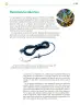 Miniatura página 306 de Colección Sk´asolil. Saberes y pensamiento científico.   Libro de Educación Telesecundaria Grado 2°  Ciclo Escolar 2025 - 2026