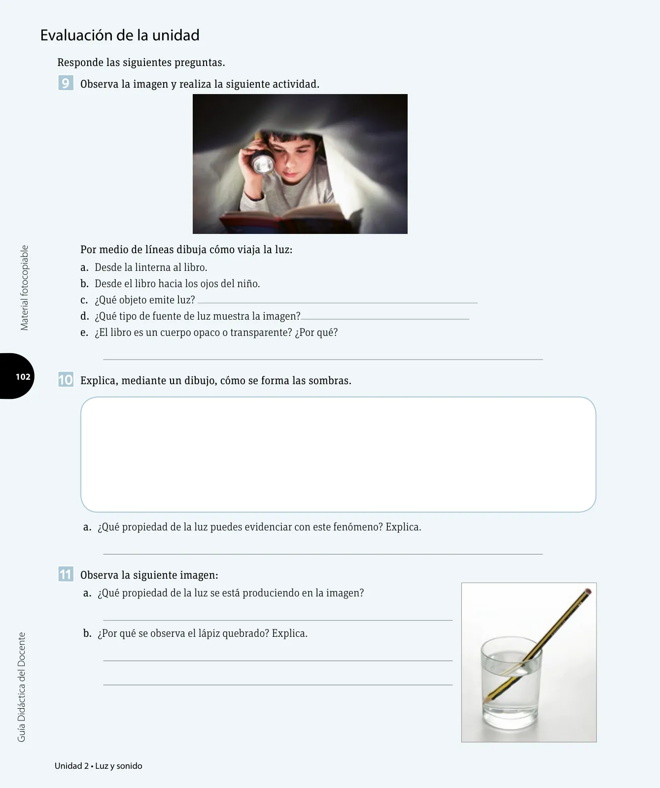 Miniatura página 169 de Ciencias Naturales – Tercero Básico | Texto del Estudiante MINEDUC – Descargar PDF · 2024