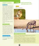 Miniatura página 91 de Ciencias Naturales – Primero Básico | Texto del Estudiante (MINEDUC) – Descargar PDF · 2024