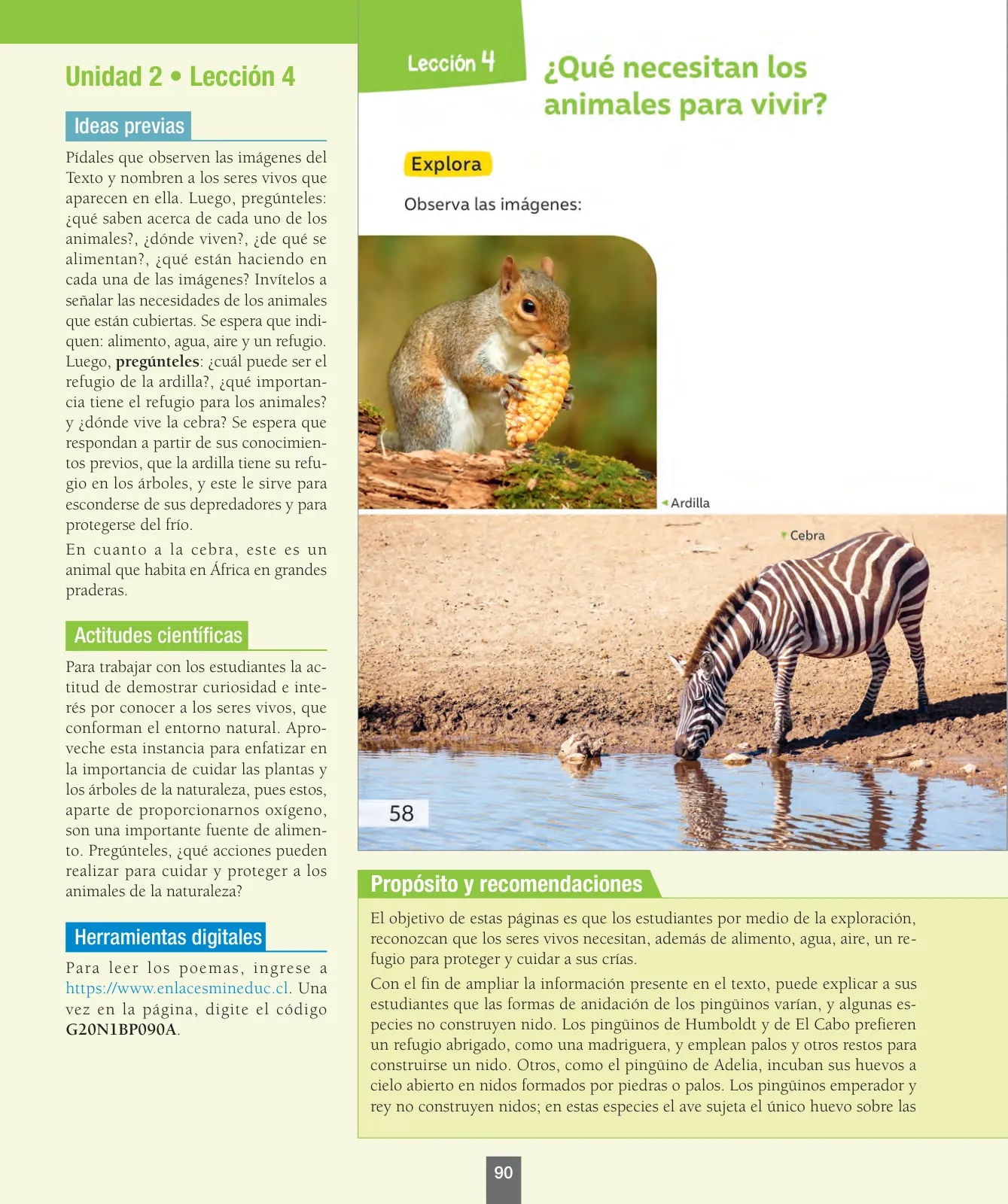 Miniatura página 91 de Ciencias Naturales – Primero Básico | Texto del Estudiante (MINEDUC) – Descargar PDF · 2024