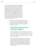 Miniatura página 185 de Colección Sk´asolil. Lenguajes.   Libro de Educación Telesecundaria Grado 2°  Ciclo Escolar 2025 - 2026