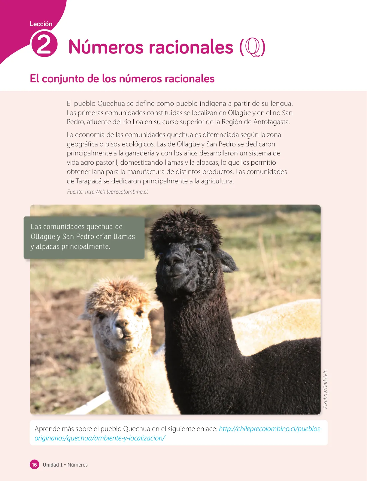 Página 18 de Matemática – Octavo Básico | Texto del Estudiante MINEDUC – Descargar PDF · 2024