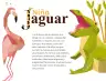 Miniatura página 55 de Múltiples lenguajes.   Libro de Educación Preescolar Grado 3°  Ciclo Escolar 2025 - 2026
