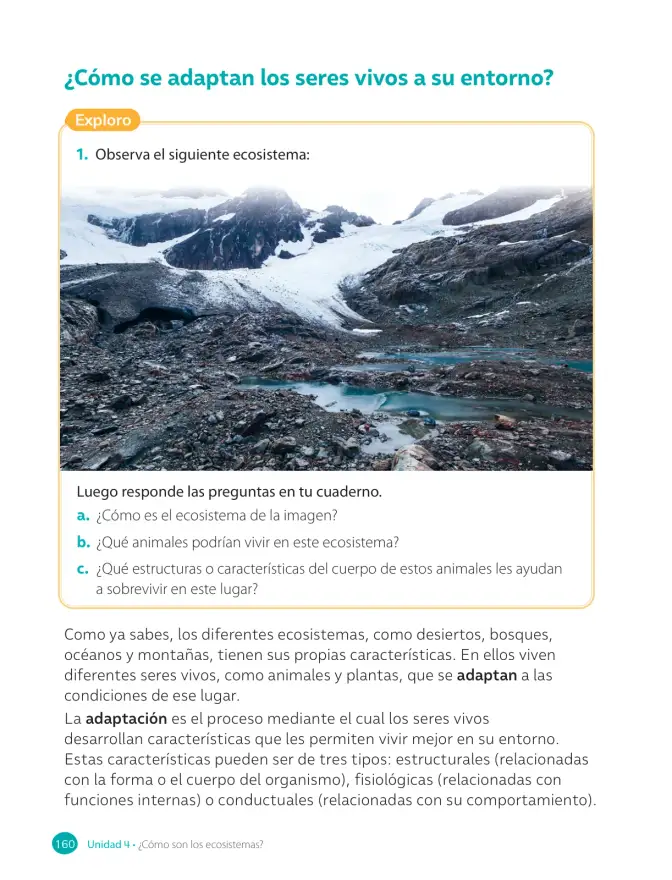 Página 162 de Ciencias Naturales – Cuarto Básico | Texto del Estudiante MINEDUC – Descargar PDF · 2024
