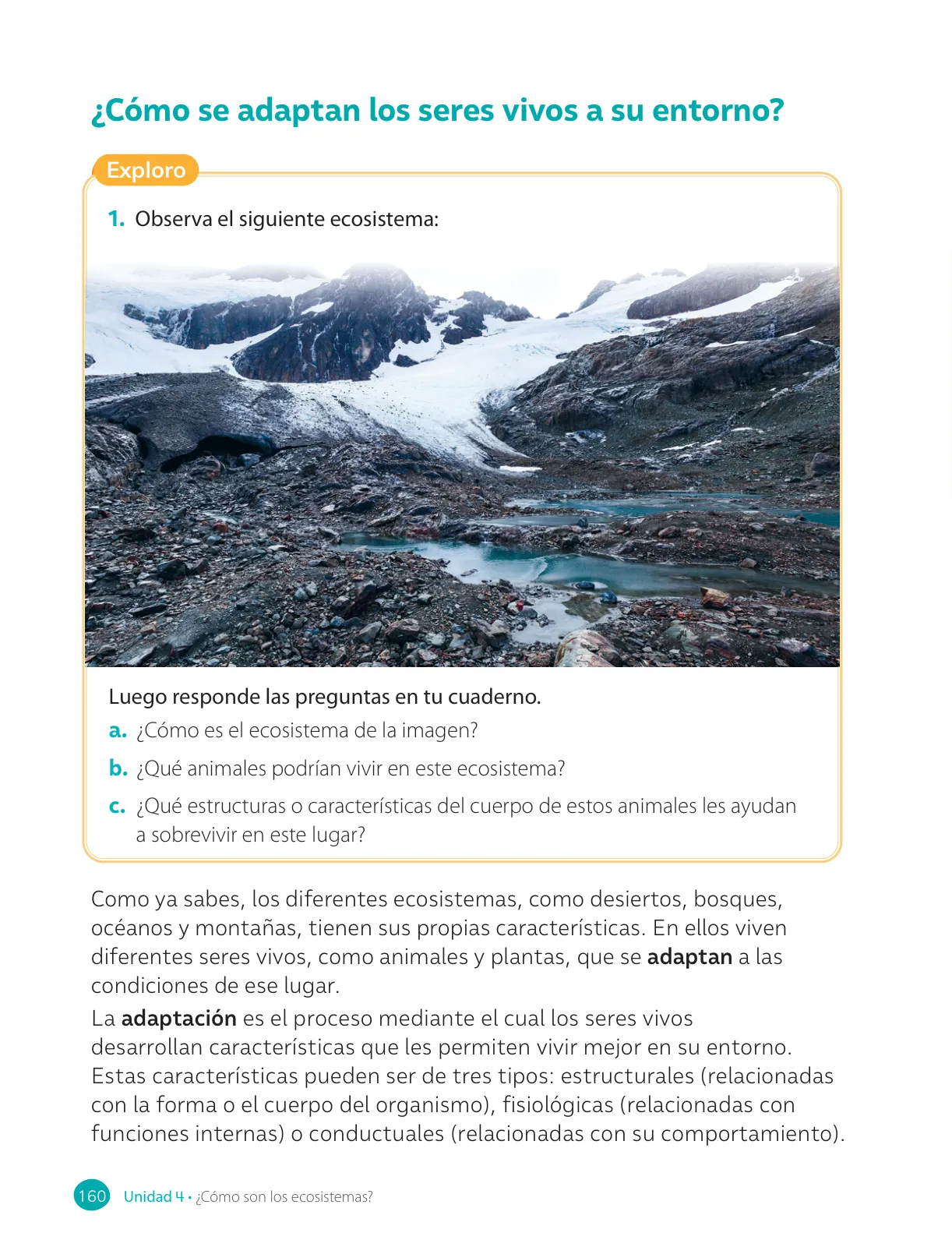 Miniatura página 162 de Ciencias Naturales – Cuarto Básico | Texto del Estudiante MINEDUC – Descargar PDF · 2024