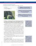 Miniatura página 202 de Lenguaje 6° · Secundaria Activa