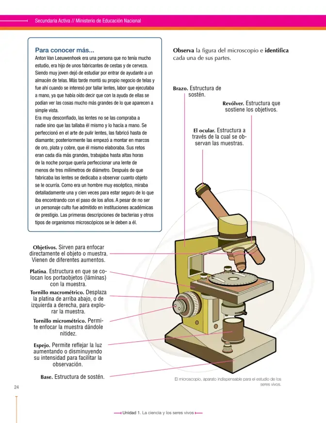 Página 24 de Ciencias Naturales 6° · Secundaria Activa