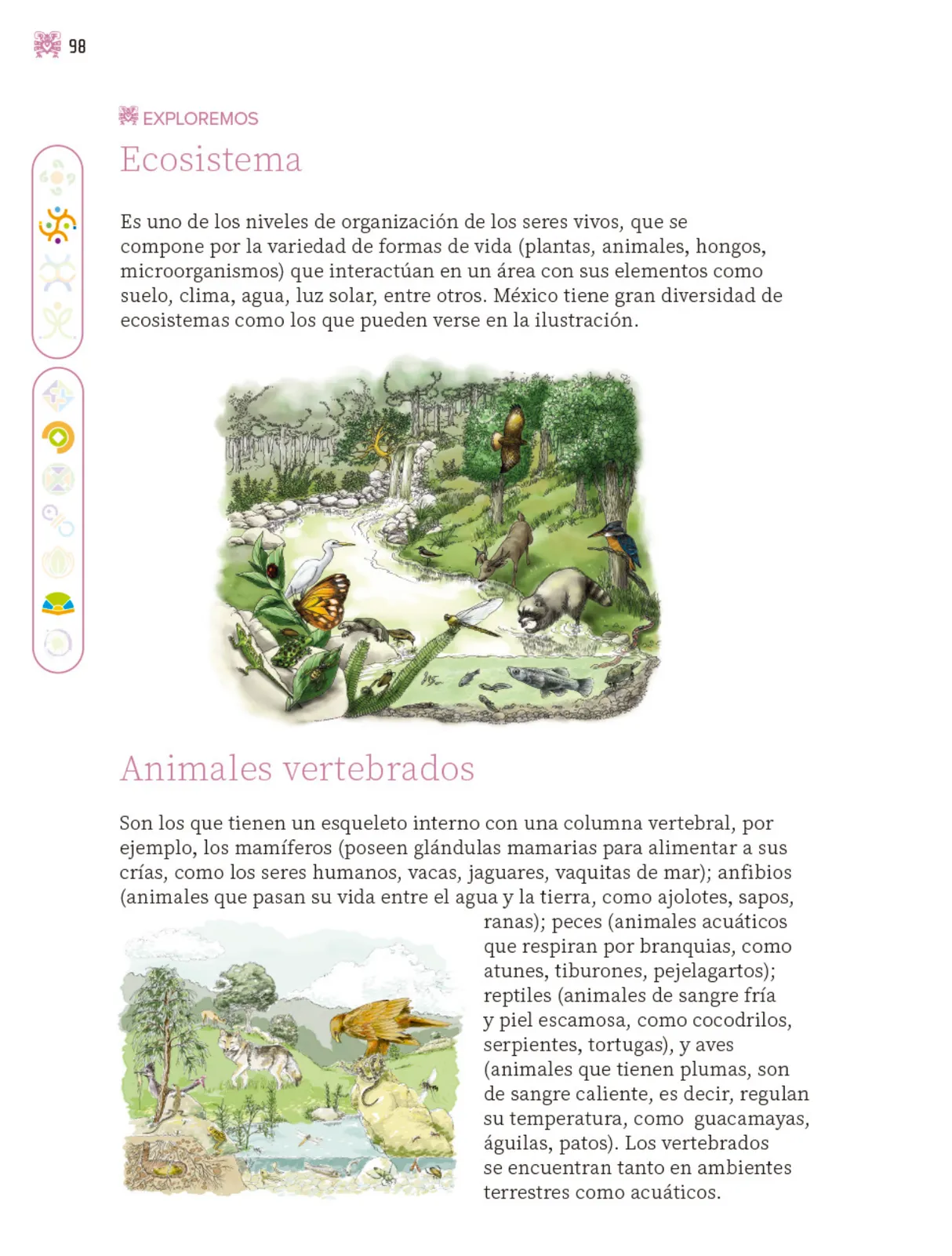 Miniatura página 99 de Nuestros saberes: Libro para alumnos, maestros y familia.   Libro de Educación Primaria Grado 3°  Ciclo Escolar 2025 - 2026