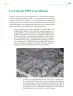 Miniatura página 142 de Colección Nanahuatzin. Ética, naturaleza y sociedades.   Libro de Educación Telesecundaria Grado 3°  Ciclo Escolar 2025 - 2026