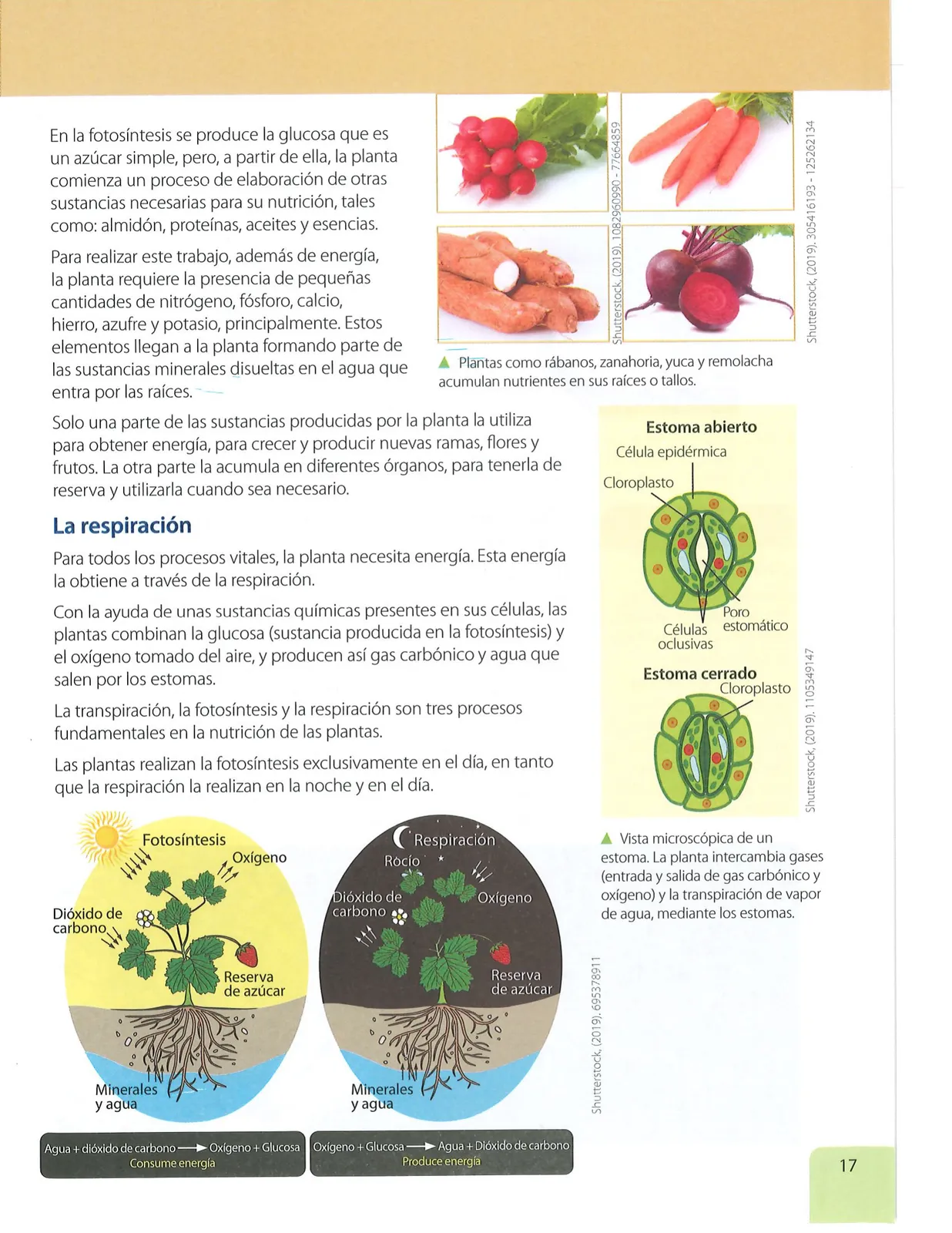 Página 16 de Ciencias Naturales · 7 EGB · 2024