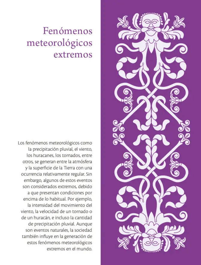 Página 205 de Colección Sk´asolil. Saberes y pensamiento científico. Libro de Educación Secundaria Grado 2° Ciclo Escolar 2025 - 2026