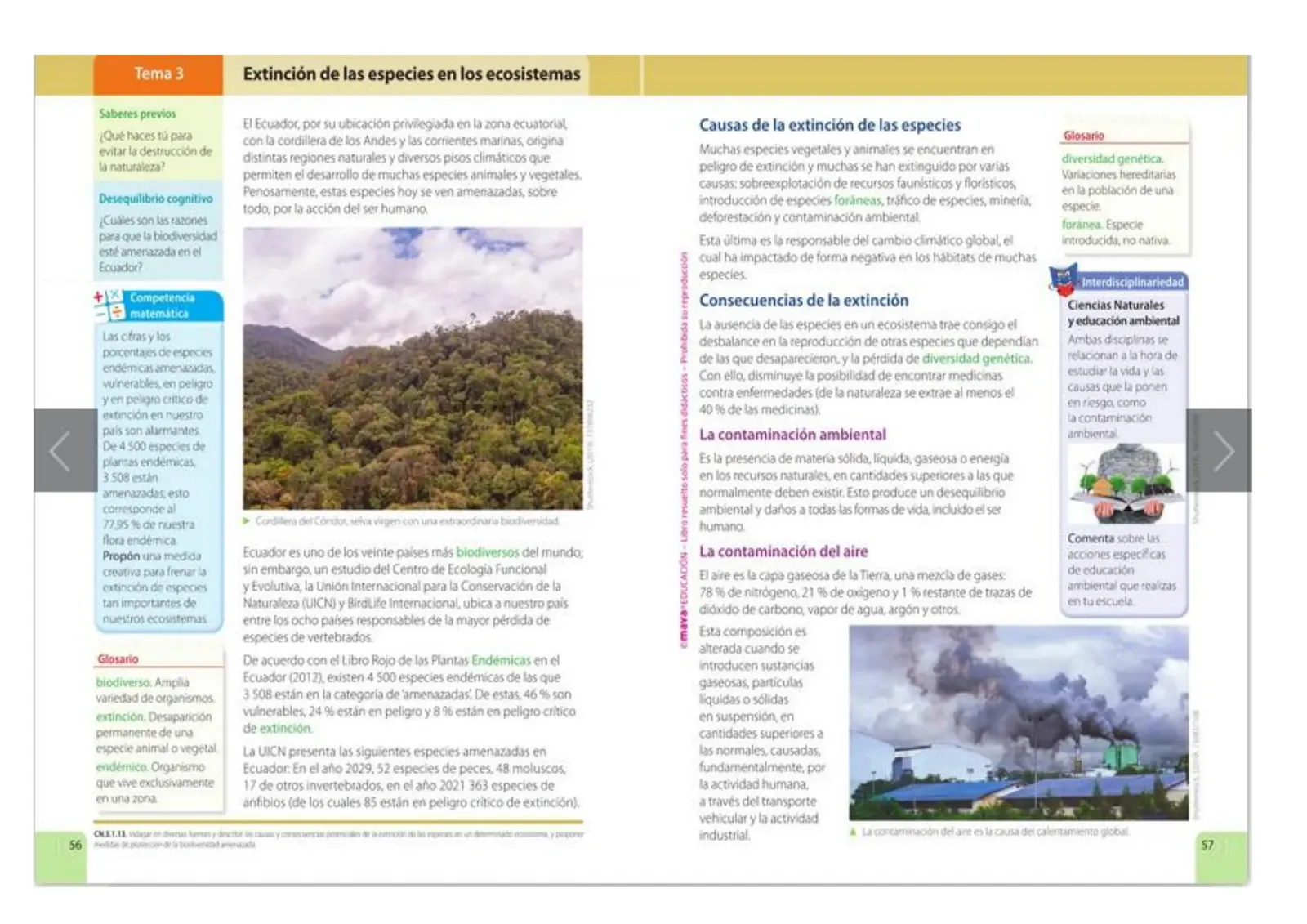 Página 28 de Ciencias Naturales 5° · Egb 5 Ciencias Naturales 2024 · 2024