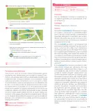 Miniatura página 19 de Sumo Primero – Tercero Básico | Texto del Estudiante MINEDUC – Descargar PDF · 2024