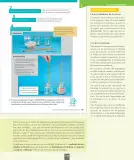 Miniatura página 130 de Ciencias Naturales – Séptimo Básico | Texto del Estudiante MINEDUC – Descargar PDF · 2024