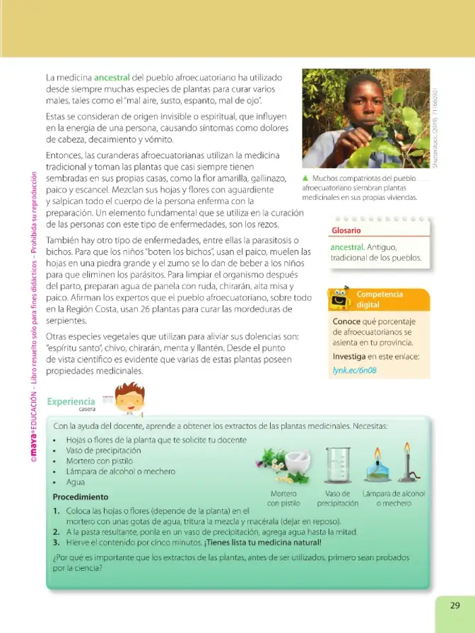 Página 31 de Ciencias Naturales 6° · Egb 6 Ciencias Naturales 2025 · 2025