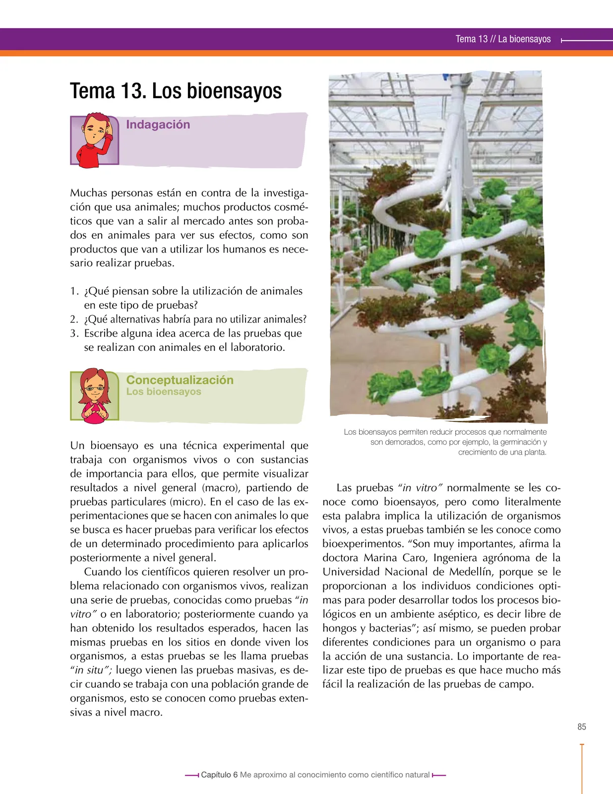 Página 85 de Ciencias Naturales 8° · Secundaria Activa