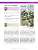Miniatura página 85 de Ciencias Naturales 8° · Secundaria Activa