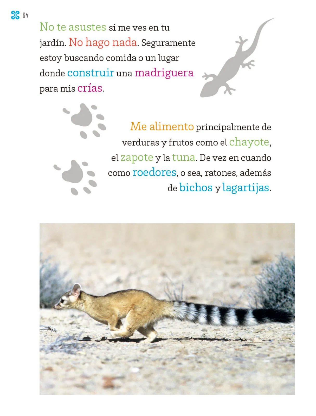 Página 65 de Múltiples lenguajes. Libro de Educación Primaria Grado 1° Ciclo Escolar 2025 - 2026