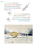 Miniatura página 65 de Múltiples lenguajes.   Libro de Educación Primaria Grado 1°  Ciclo Escolar 2025 - 2026