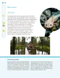 Miniatura página 167 de Nuestros saberes: Libro para alumnos, maestros y familia.   Libro de Educación Primaria Grado 1°  Ciclo Escolar 2025 - 2026