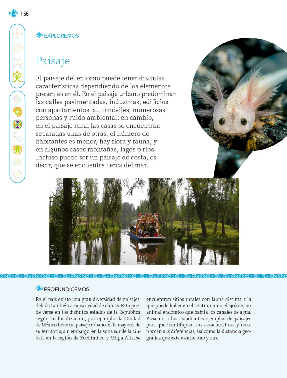 Miniatura página 167 de Nuestros saberes: Libro para alumnos, maestros y familia.   Libro de Educación Primaria Grado 1°  Ciclo Escolar 2025 - 2026