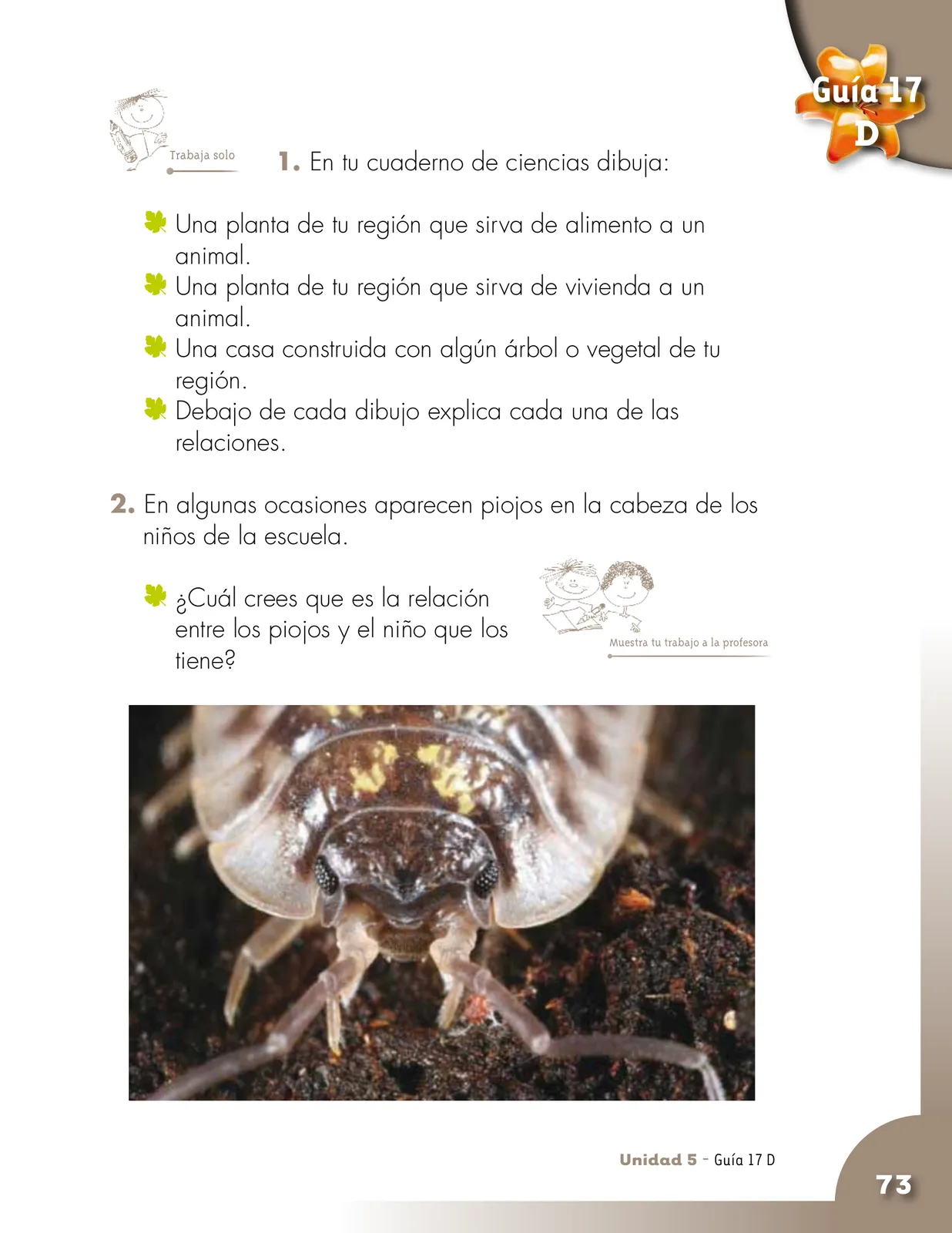 Pág 73