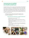 Miniatura página 198 de Colección Ximhai. Saberes y pensamiento científico.   Libro de Educación Telesecundaria Grado 1°  Ciclo Escolar 2025 - 2026