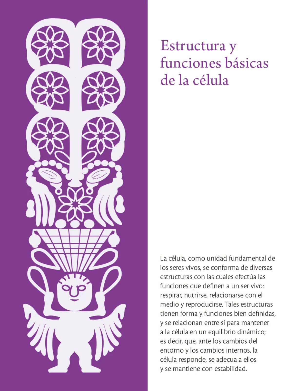 Página 242 de Colección Ximhai. Saberes y pensamiento científico. Libro de Educación Secundaria Grado 1° Ciclo Escolar 2025 - 2026