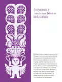 Miniatura página 242 de Colección Ximhai. Saberes y pensamiento científico.   Libro de Educación Secundaria Grado 1°  Ciclo Escolar 2025 - 2026