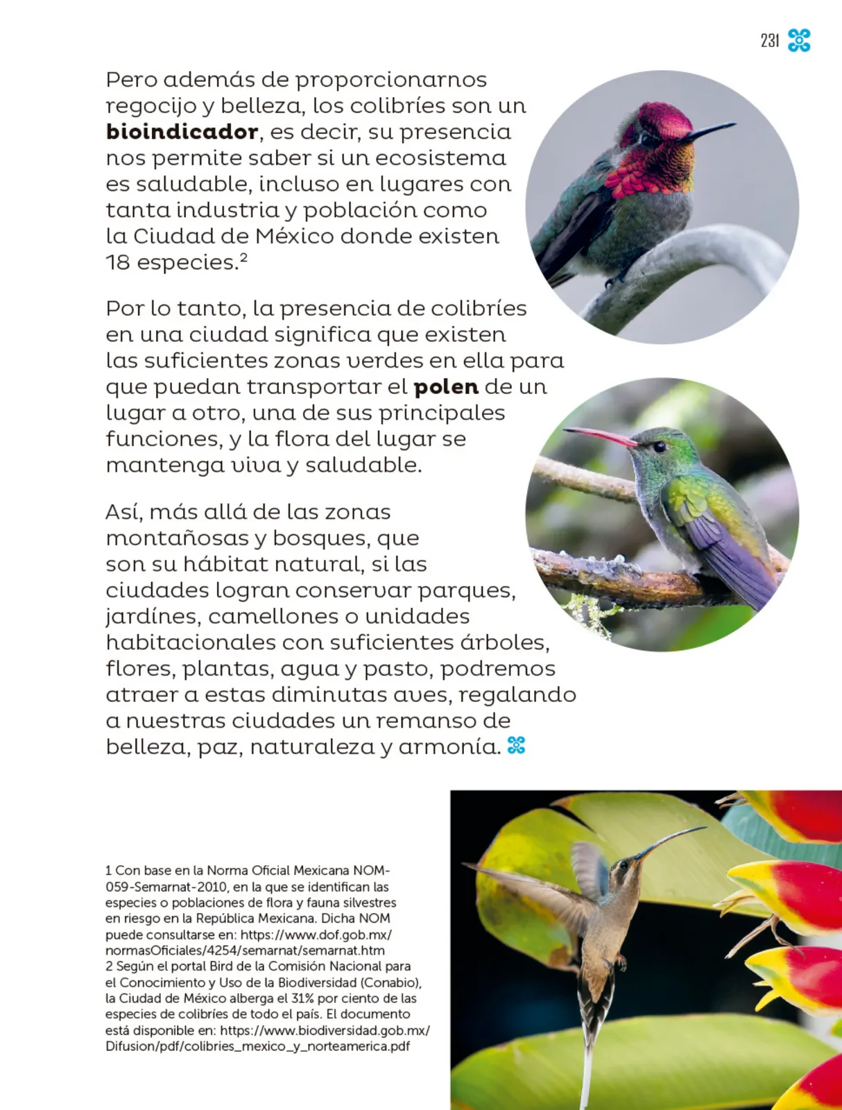 Pág 232