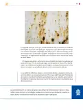 Miniatura página 166 de Colección Nanahuatzin. Saberes y pensamiento científico.   Libro de Educación Secundaria Grado 3°  Ciclo Escolar 2025 - 2026
