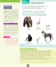 Miniatura página 77 de Ciencias Naturales – Segundo Básico | Texto del Estudiante MINEDUC – Descargar PDF · 2024
