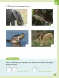 Miniatura página 38 de Ciencias Naturales – Primero Básico | Texto del Estudiante (MINEDUC) – Descargar PDF · 2024